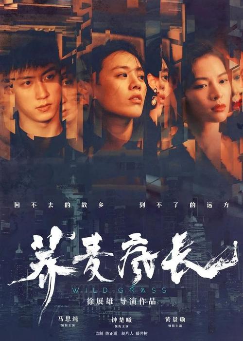 西密西根大学学位证办理